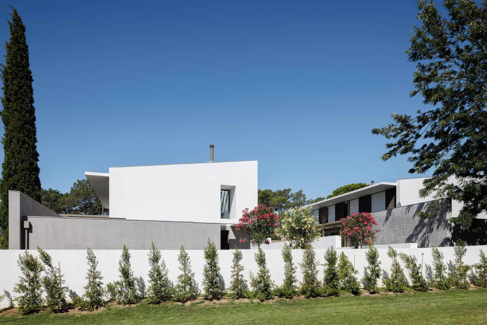 Houses in the Pine Forest by PK Arquitetos in Estoril, Portugal