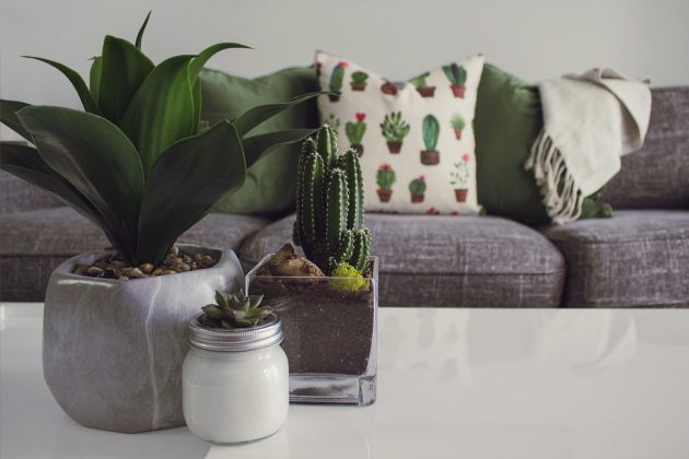 How Well Arranged Plants Can Refresh Your Living Area
