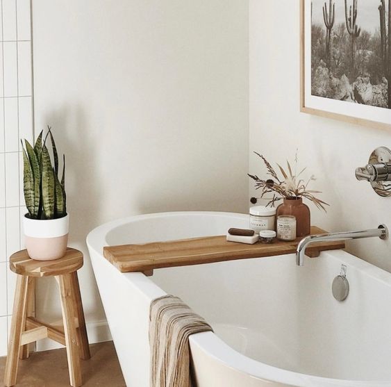 Choose the Most Fitting Bathroom Plants