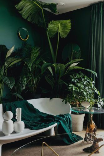 Create Your Own Urban Jungle at Home