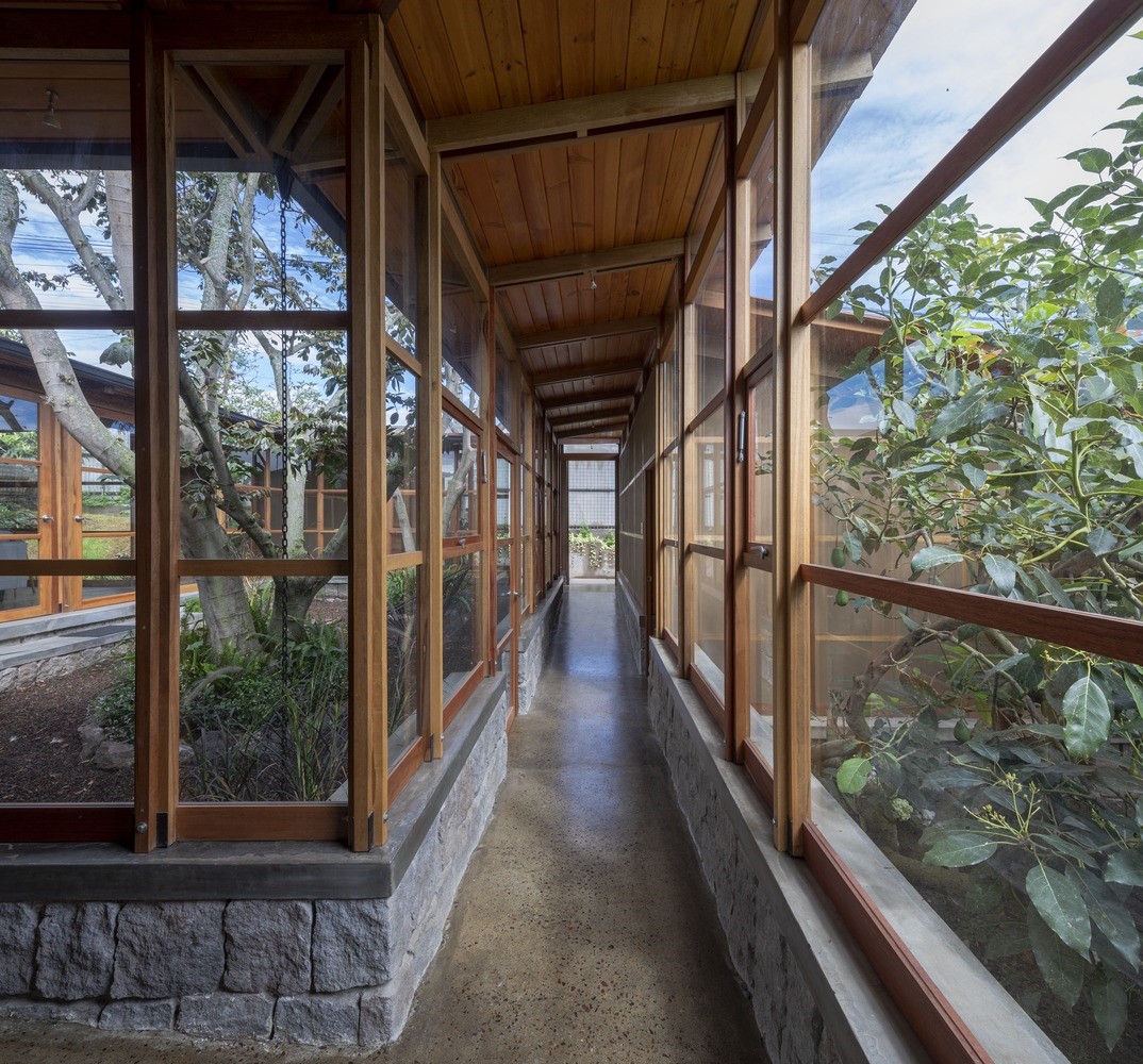 House Among Trees / El Sindicato Arquitectura / Ecuador House Among Trees / El Sindicato Arquitectura / Ecuador