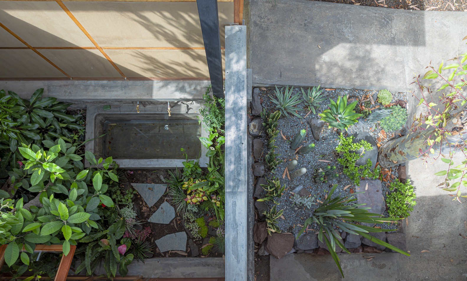House Among Trees / El Sindicato Arquitectura / Ecuador House Among Trees / El Sindicato Arquitectura / Ecuador