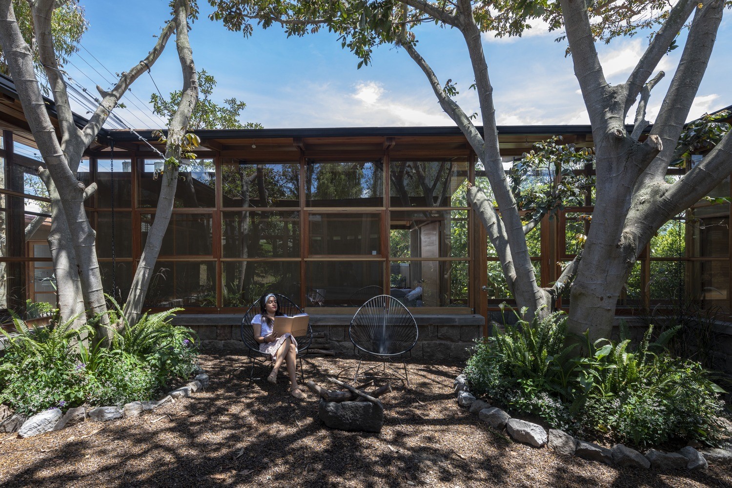 House Among Trees / El Sindicato Arquitectura / Ecuador House Among Trees / El Sindicato Arquitectura / Ecuador