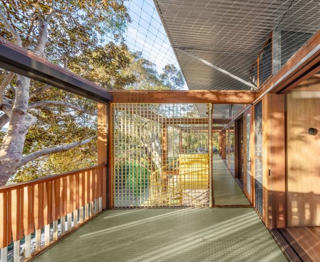 Balmy Palmy House by CplusC Architectural Workshop in Palm Beach, Australia