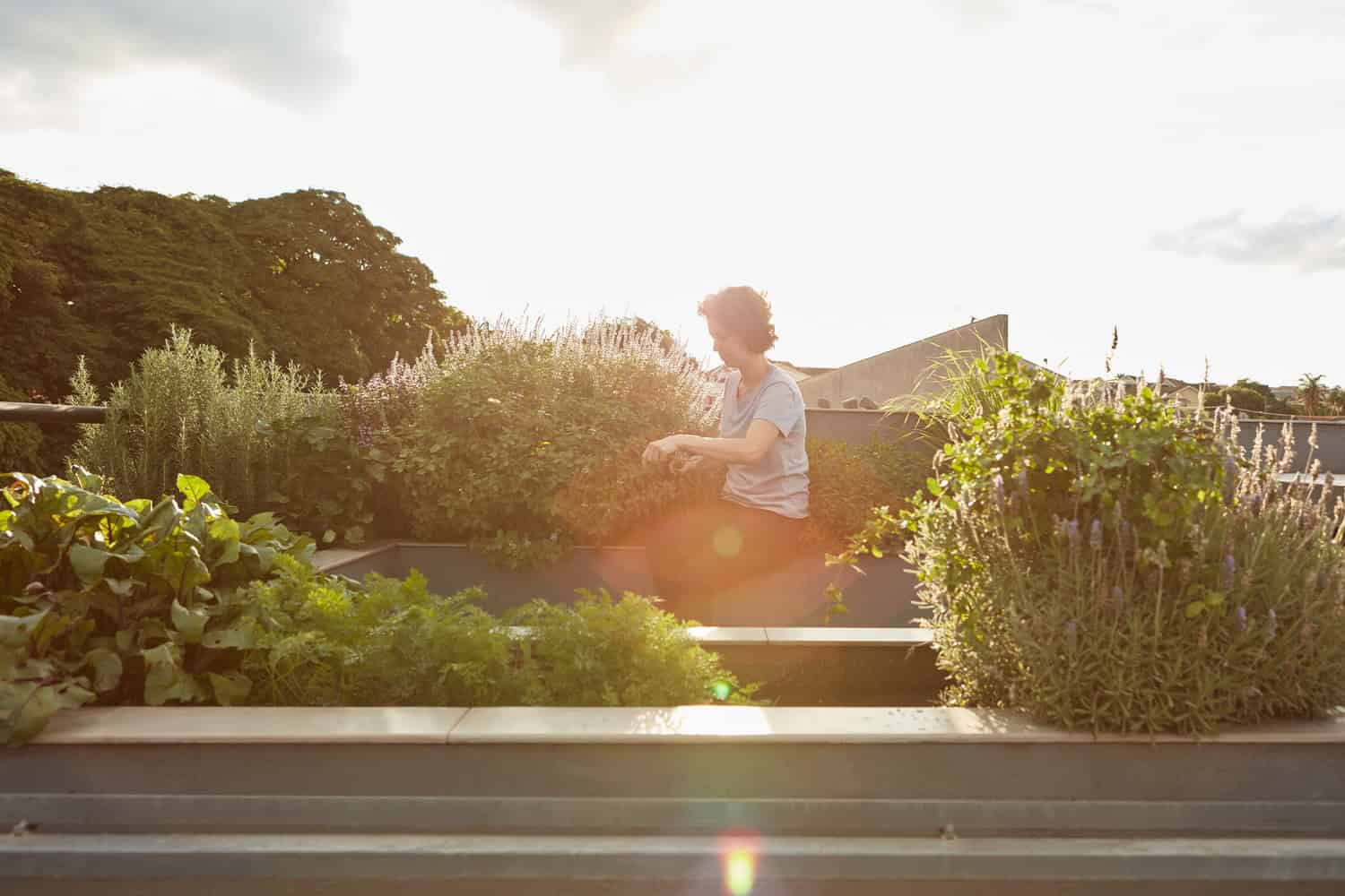 House 538 by Une Arquitetura in Maringa, Brazil House 538 by Une Arquitetura in Maringa, Brazil