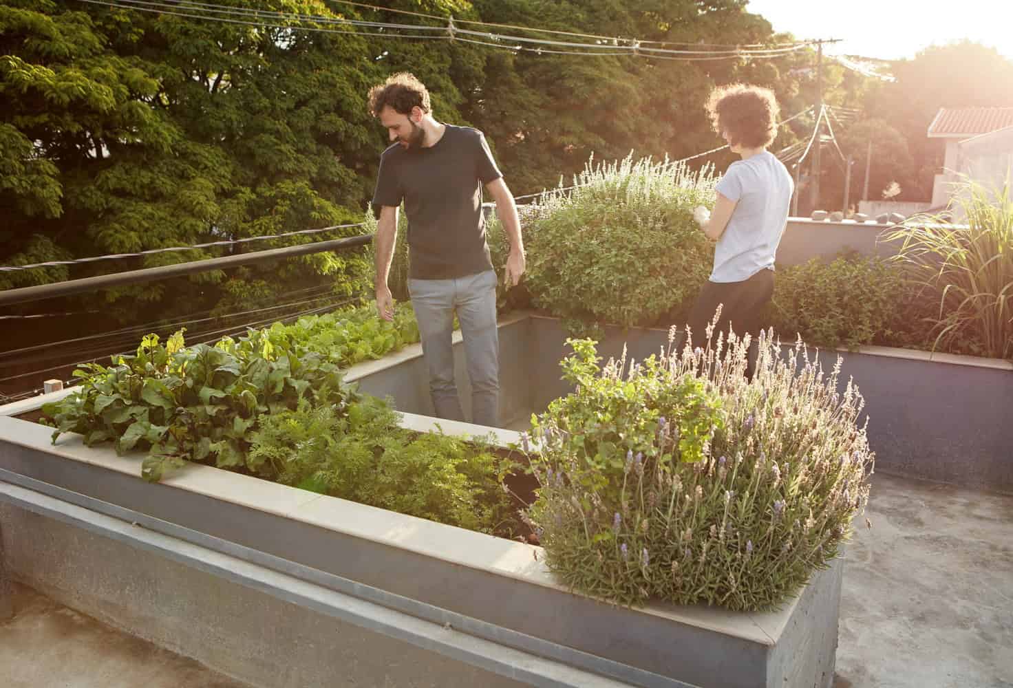 House 538 by Une Arquitetura in Maringa, Brazil House 538 by Une Arquitetura in Maringa, Brazil