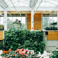 Everything You Need to Know About Biophilic Elements In Home Design