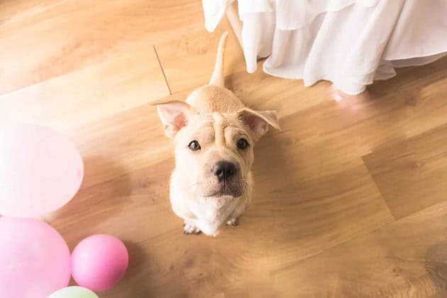 Here’s A Roundup of The Top Things to Consider When Choosing Laminate Flooring