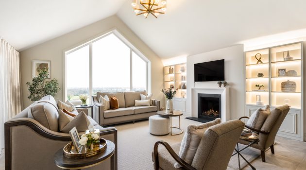 16 Transitional Living Room Designs for Timeless Elegance