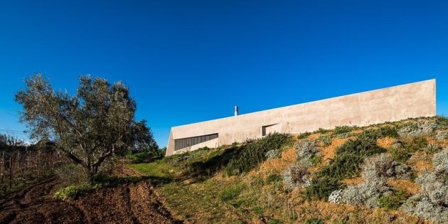 House in Sikamino by Tense Architecture Network in Greece