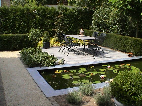 Garden pond: everything you need to know to successfully stage it
