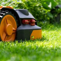 Lawn Care Mistakes That You Might Want to Avoid