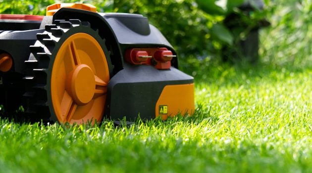 Lawn Care Mistakes That You Might Want to Avoid