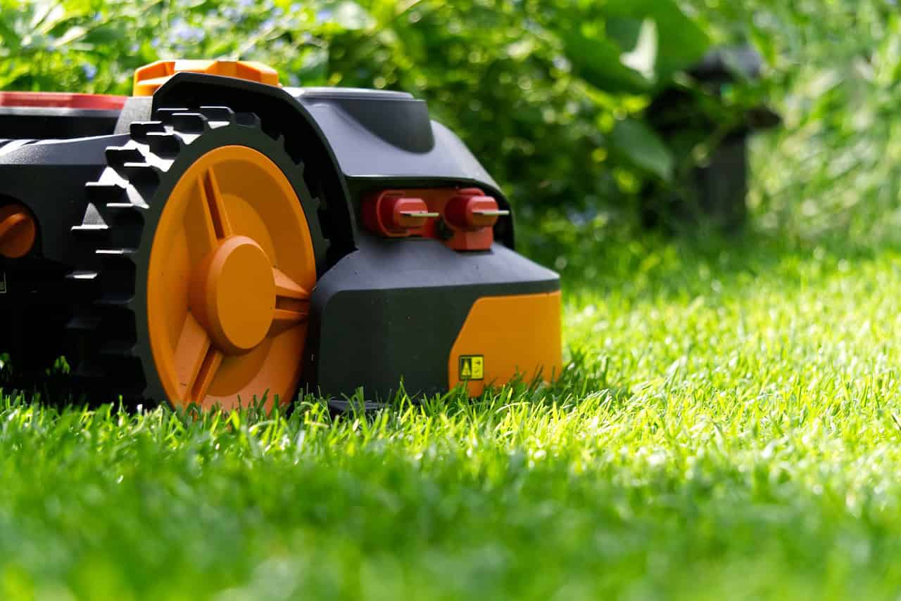 Lawn Care Mistakes That You Might Want to Avoid