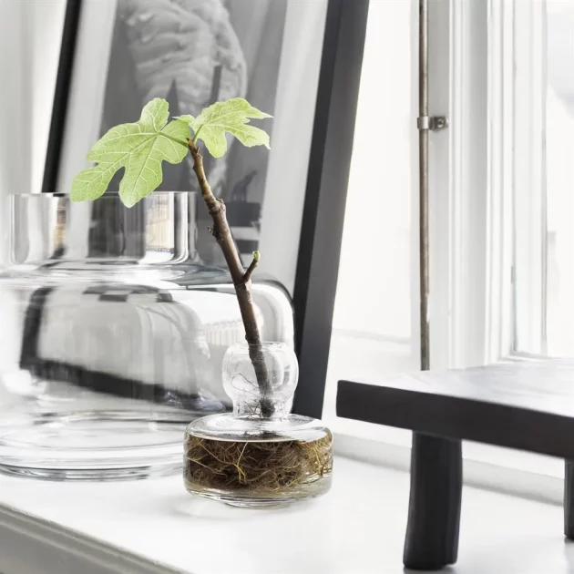 Classic vases for spring bouquets