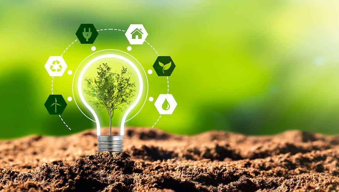 Navigating Energy Efficiency Options for Your Business