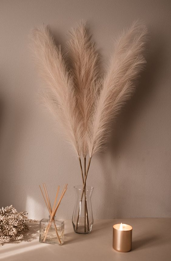Bring Nature Indoors with Pampas Grass With the Creative Ways to Decorate Your Living Space