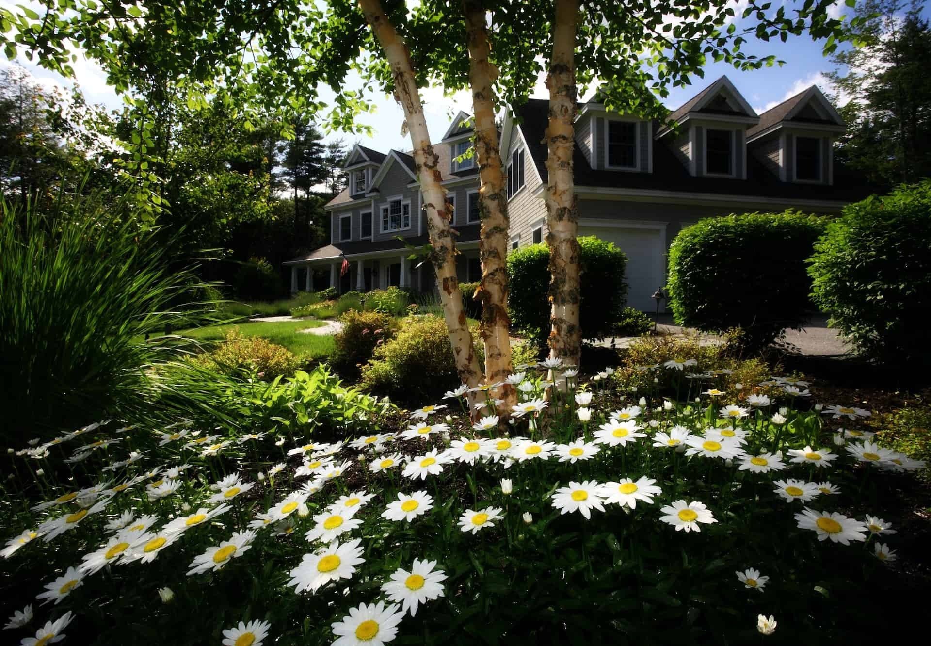 Improve Your Home's Curb Appeal With These Tips Improve Your Home's Curb Appeal With These Tips
