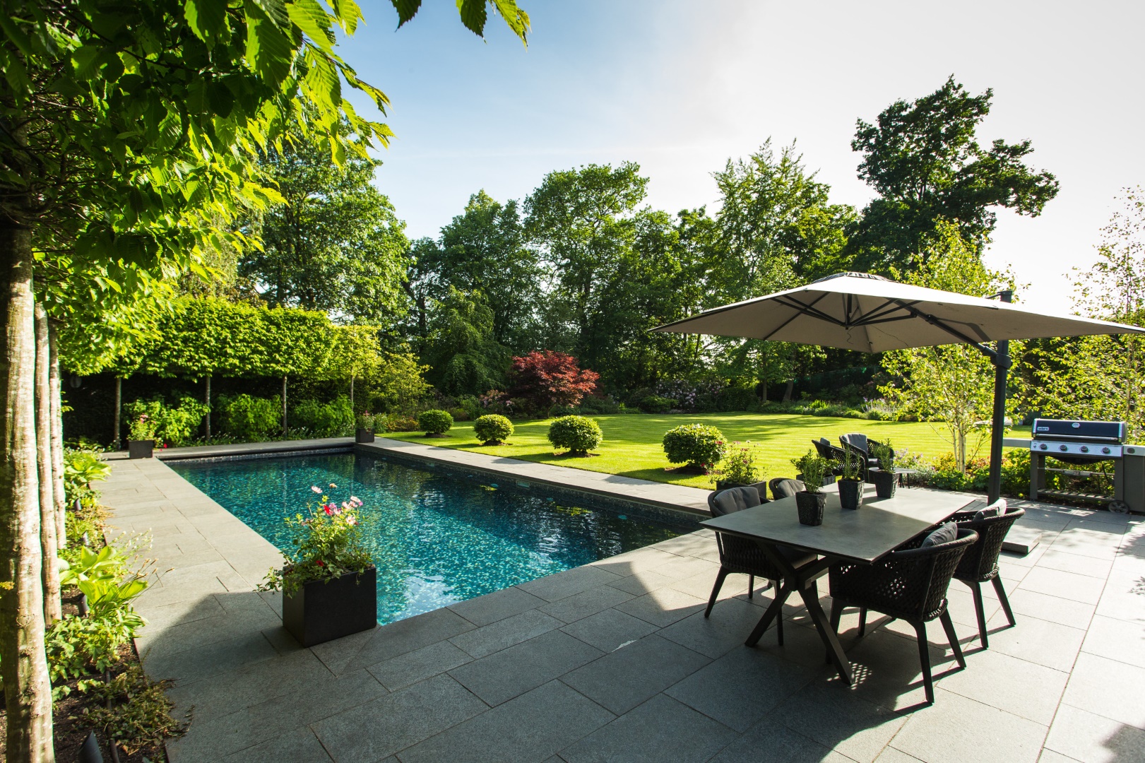 18 Transitional Landscape Designs for a Classic-Modern Look in Your Yard