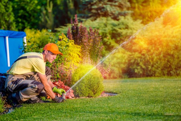 5 Lawn Care Tips For Busy Homeowners