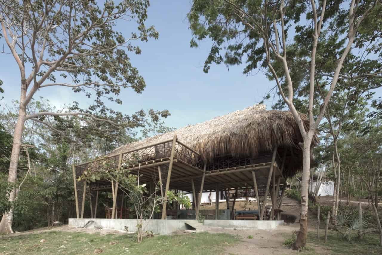 Eco-friendly bamboo house with thatched roof surrounded by trees in a tropical setting.