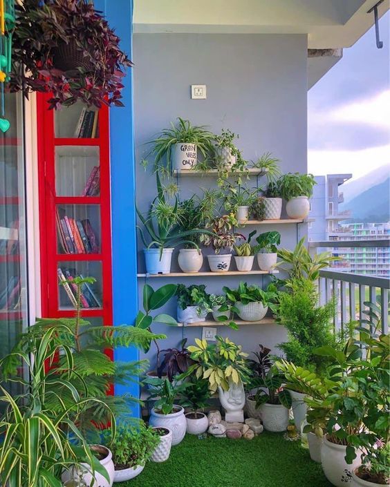 How to decorate a small balcony with plants