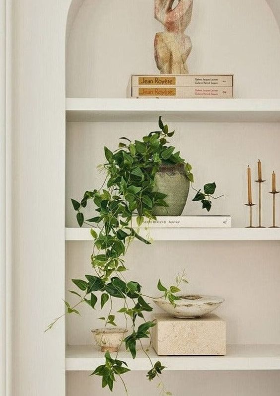 What are the best hanging plants?