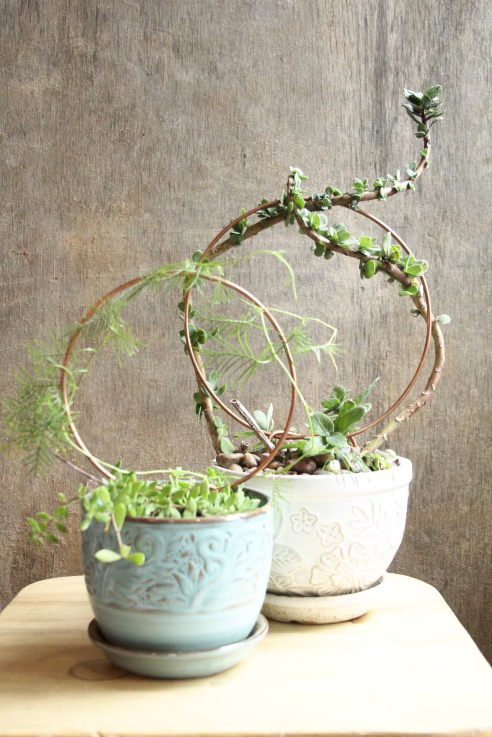 Creative Ideas For Displaying Your Indoor Plants - MadeTerra