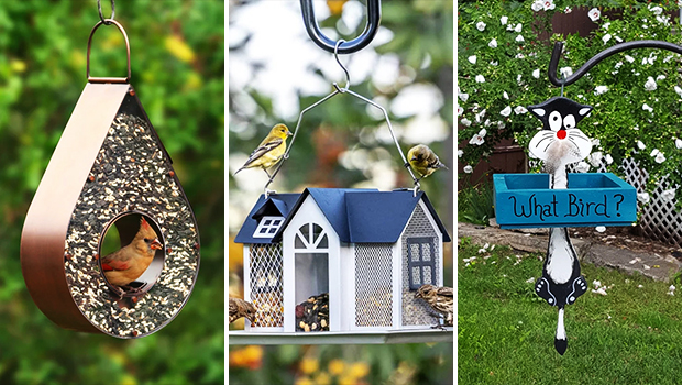 16 Bird Feeders for Garden Bliss: Inviting Nature’s Beauty to Your Outdoor Space