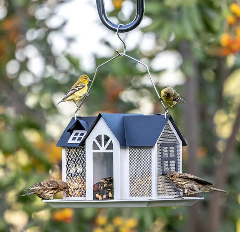 16 Bird Feeders for Garden Bliss: Inviting Nature's Beauty to Your Outdoor Space