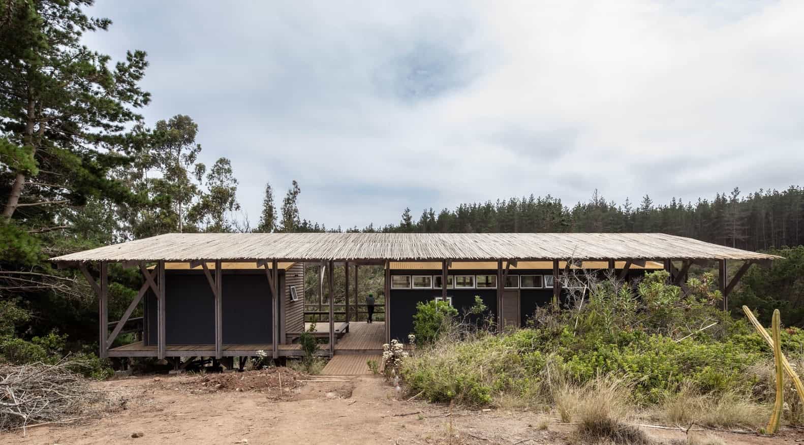 Modern eco-friendly wooden house with a thatched roof nestled in natural surroundings, showcasing innovative sustainable architecture and innovative architectural design blending with nature.