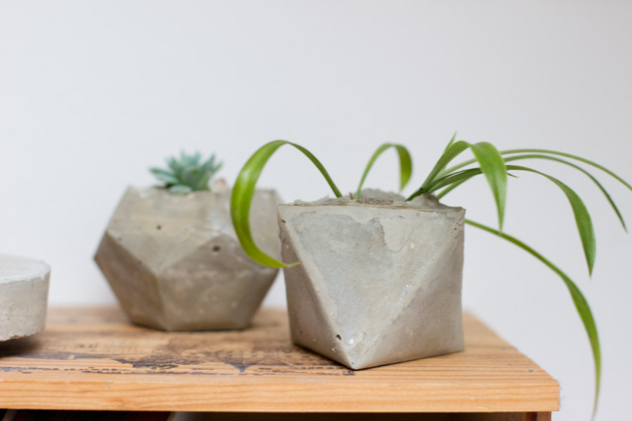 15 Easy-to-Make DIY Concrete Planter Projects for a Contemporary Touch