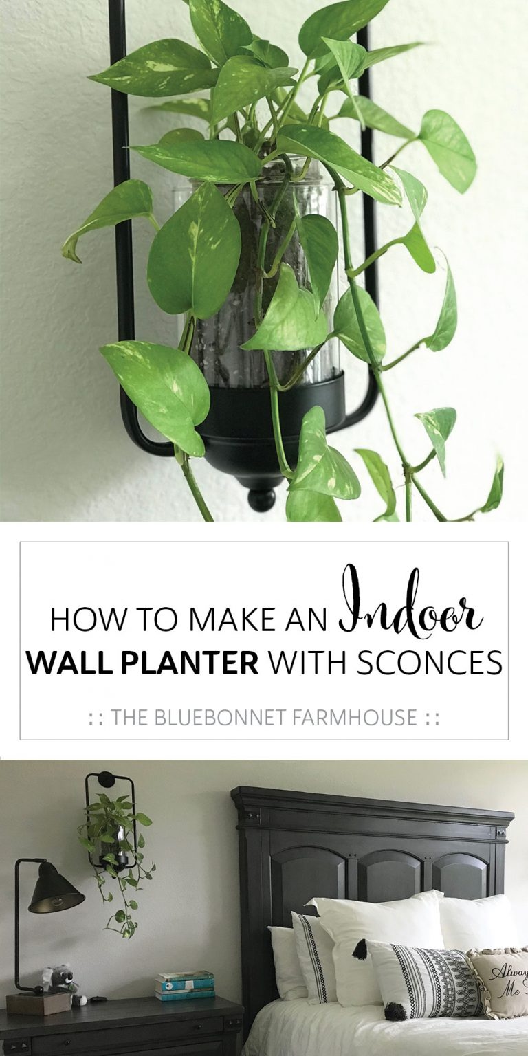 16 DIY Wall Planter Ideas to Add Natural Beauty to Any Room