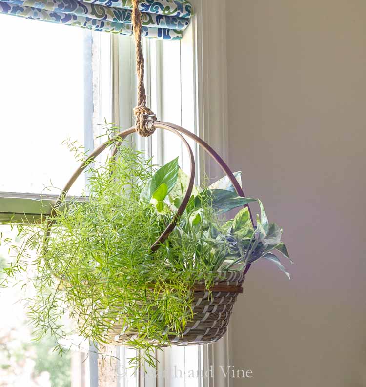 16 Unique DIY Hanging Planter Projects to Add Greenery to Any Space