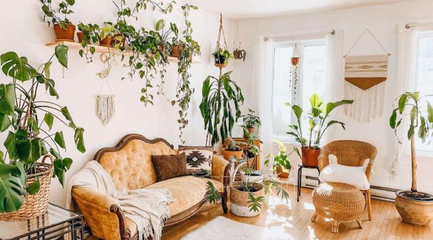 6 Tips for Incorporating and Sustaining a Lush Indoor Garden