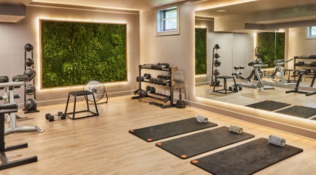 18 Contemporary Home Gym Designs for Your Personal Fitness Haven