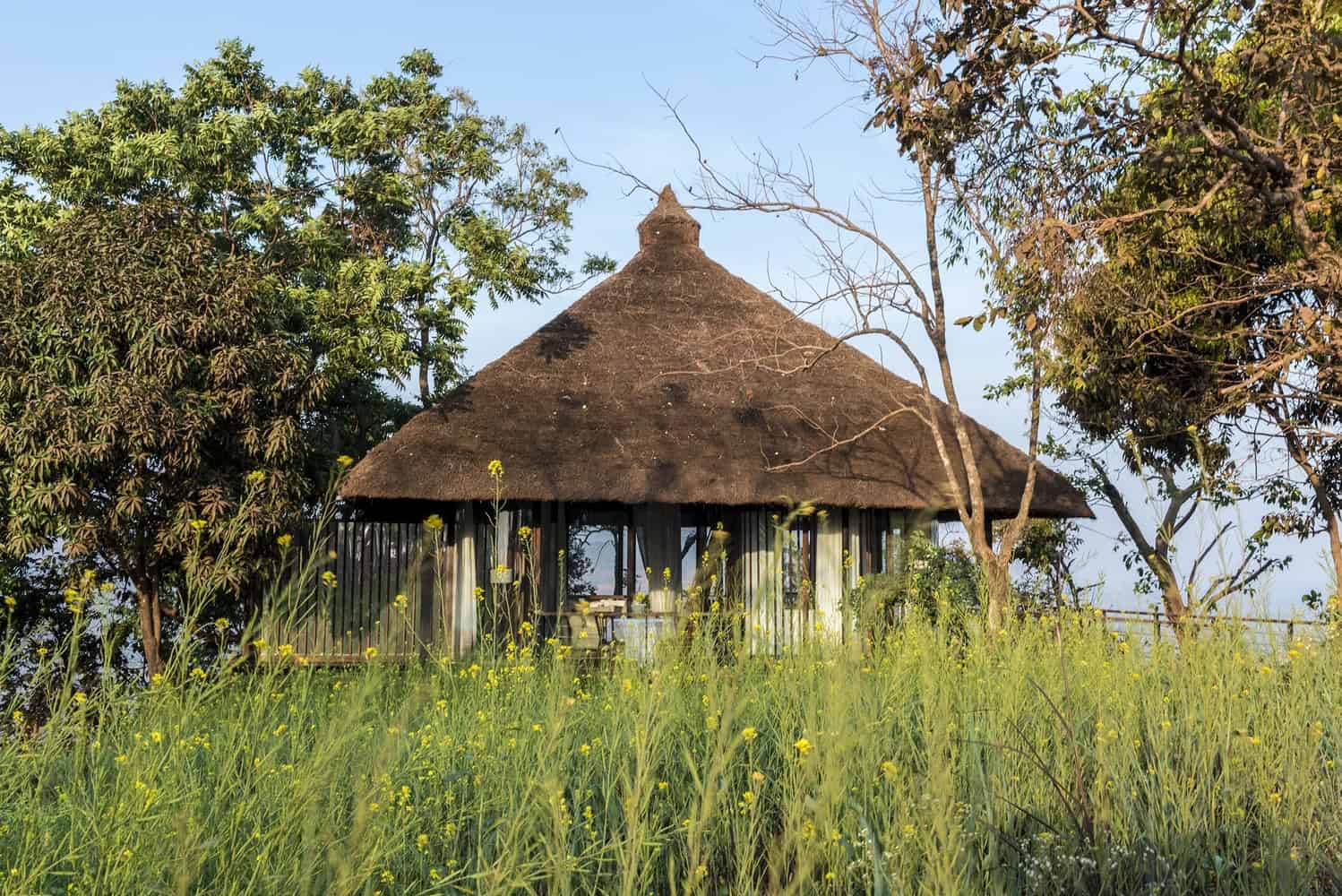 Traditional thatched-roof hut surrounded by lush greenery and wildflowers, showcasing sustainable architecture and natural building materials.
