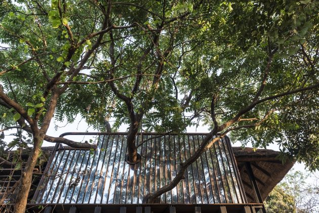 Tree Villa at Forest Hills by Architecture BRIO in Tala, India