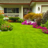 Tips to Follow for a Lawn That’s Healthy and Weed-Free
