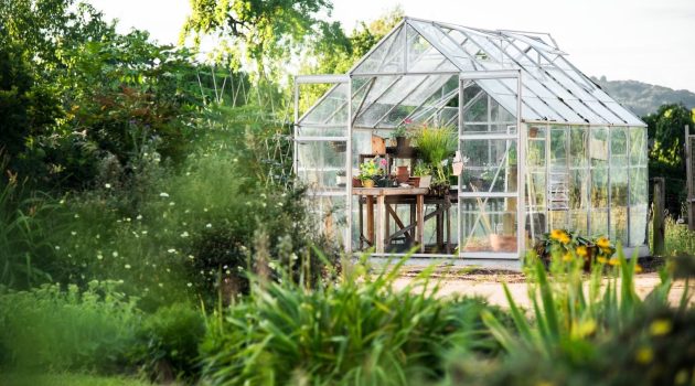 Greenhouse: Designing an Optimal Growing Environment