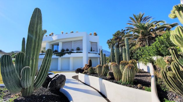 Building Your Dream Home: How To Design A Lovely Garden