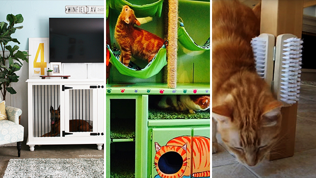 15 Fun and Creative DIY Pet Projects for Your Furry Friends