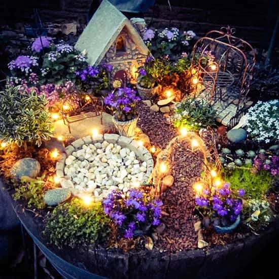 2. Fairy Garden Lights 2. Fairy Garden Lights
