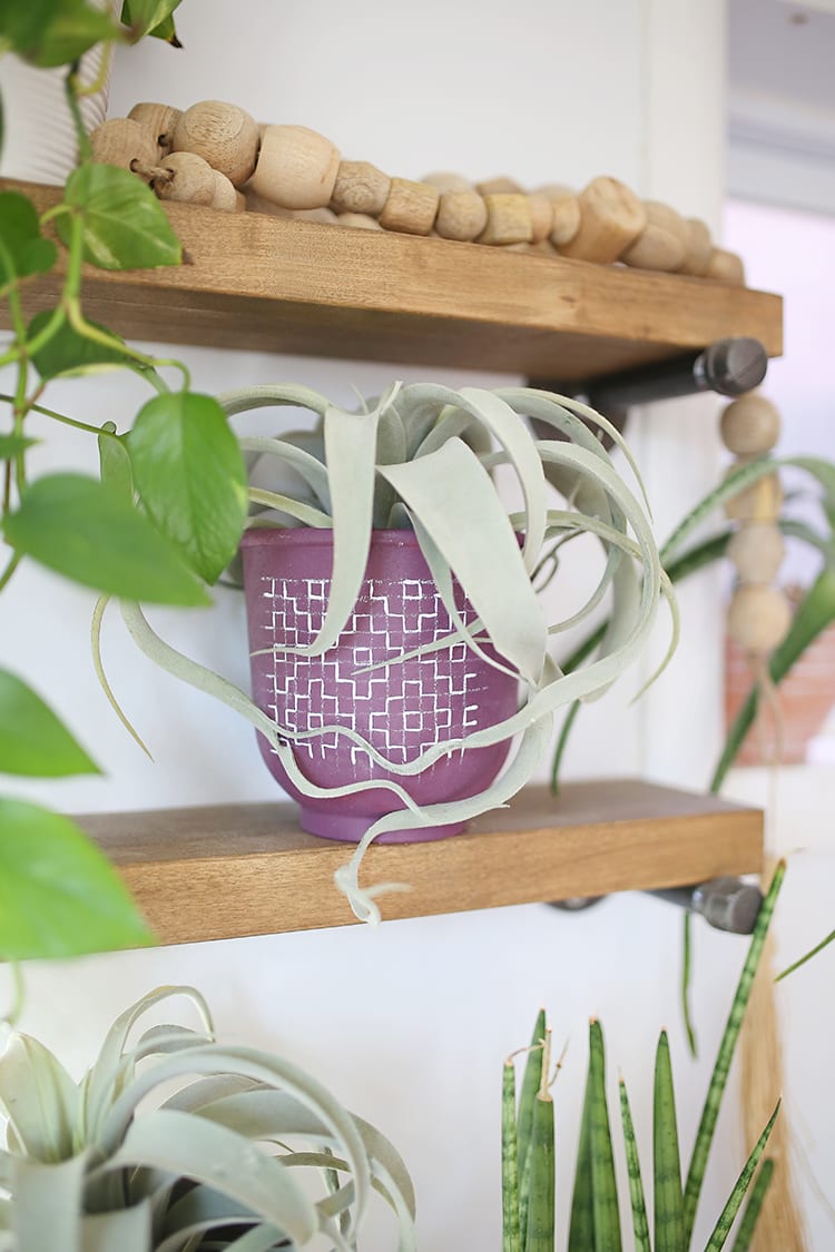 16 Unique DIY Planters to Showcase Your Green Thumb
