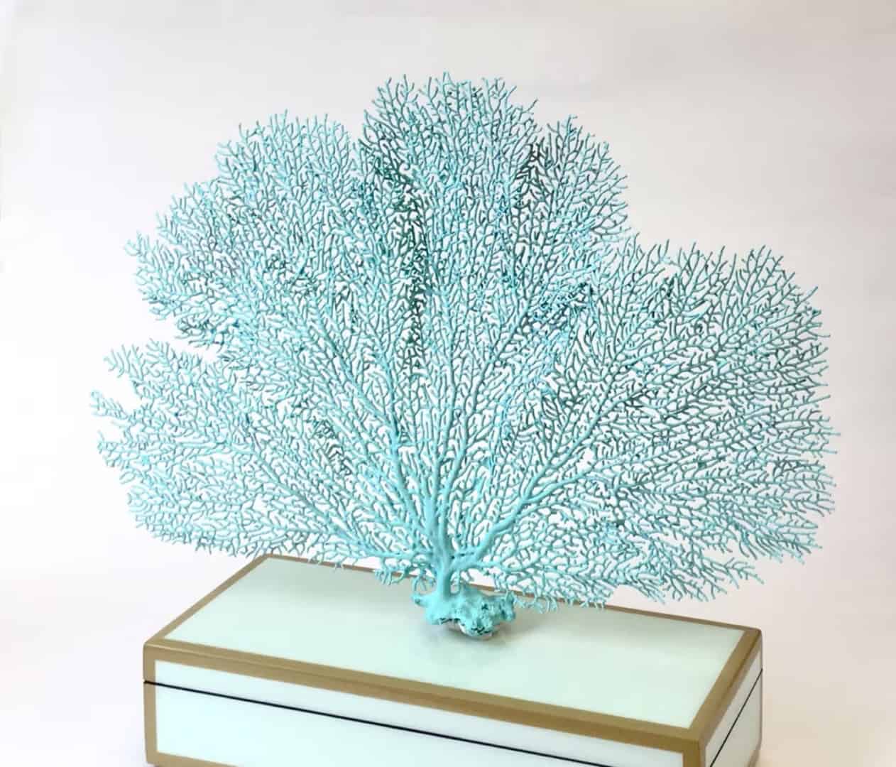 12. Natural Dried Painted Sea Fan 12. Natural Dried Painted Sea Fan