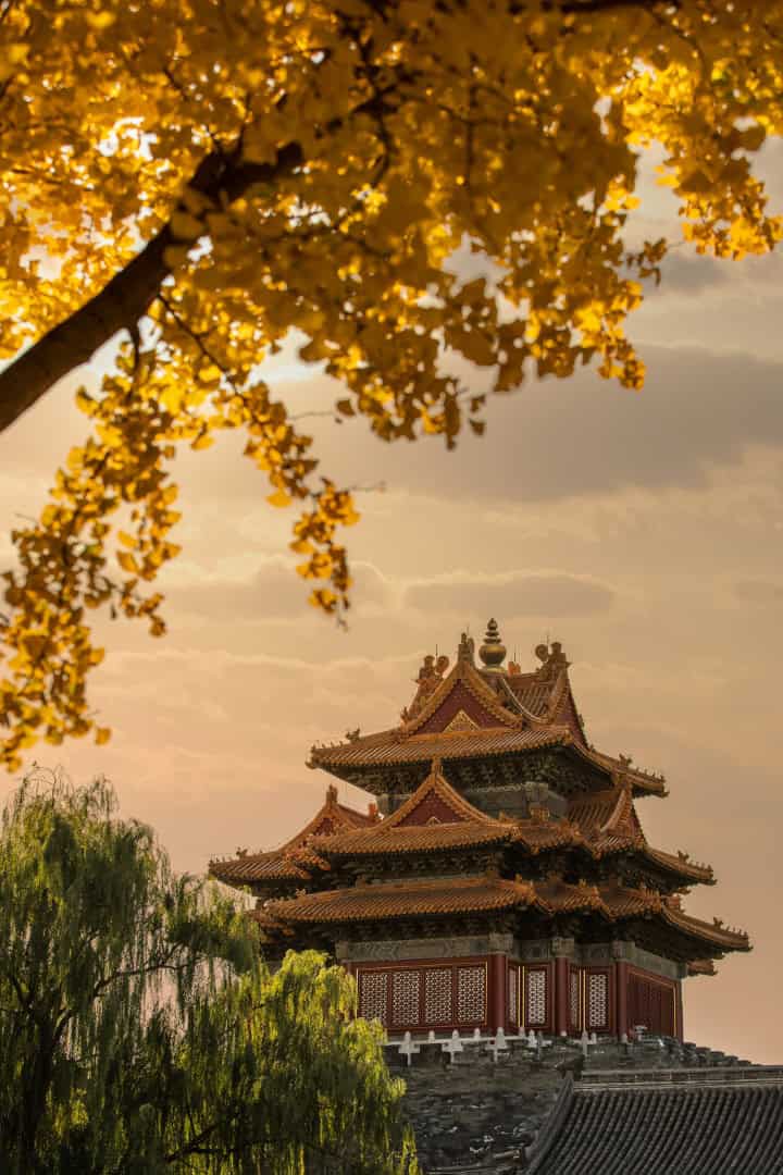 Sushi Zen / LDH Design / China Sushi Zen / LDH Design / China