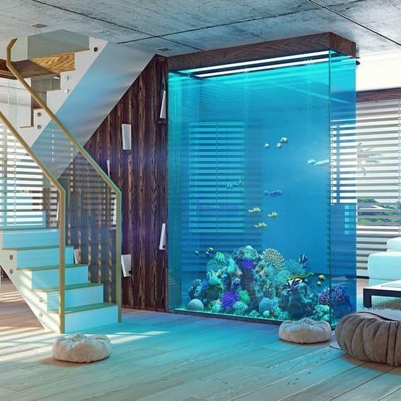 How Home Aquarium Models Bring Nature Indoors