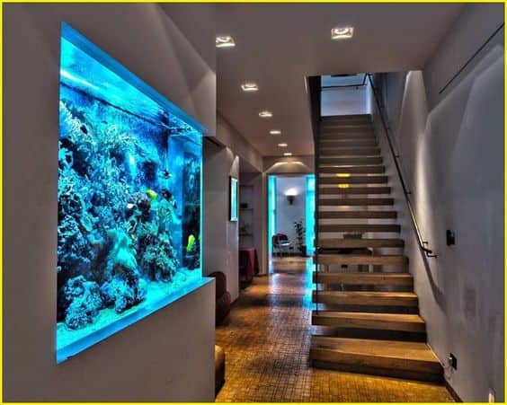 How Home Aquarium Models Bring Nature Indoors How Home Aquarium Models Bring Nature Indoors