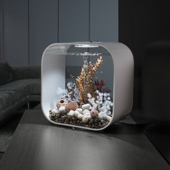 How Home Aquarium Models Bring Nature Indoors How Home Aquarium Models Bring Nature Indoors