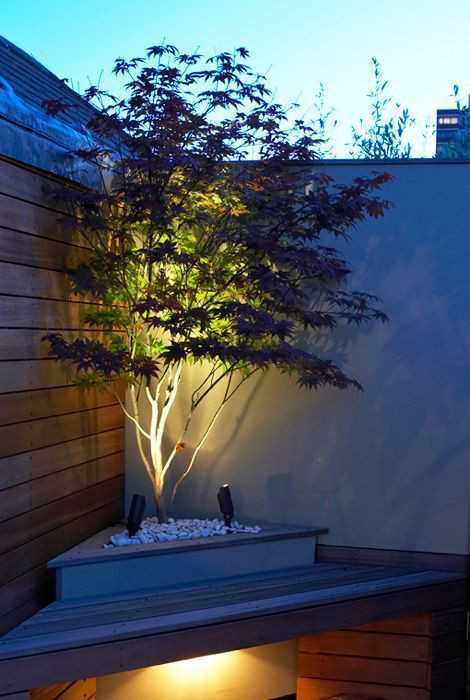 6 Must-Have Lighting Fixtures to Elevate Your Deck or Patio Experience